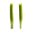 © panophotograph - Celery seeds tiny and dark brown sprinkled in a line high contrast close up food