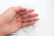 © Evelina - Hand is holding a lot of loose hair with close up view.