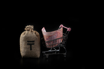 A money bag with the symbol of the Kazakhstani currency tenge and a new 5000 Kazakhstani tenge denomination note in a miniature shopping cart from a supermarket