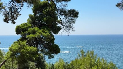 Canvas Print - Pine trees on the beach and jetty boats in the sea at summer