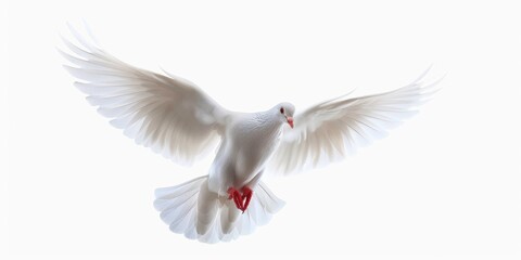 Sticker - White dove in flight