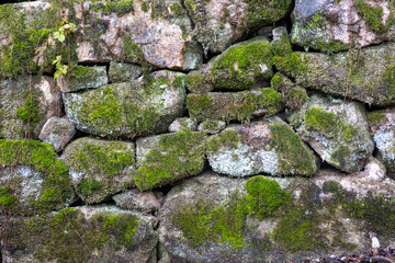 Wall Mural - stone wall with moss