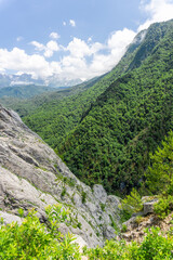 Wall Mural - Gorge between a rock and a mountain covered with trees and bushes. Snowy mountain range, blue sky with clouds in the background