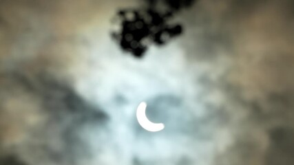 Wall Mural - rack focus from bundle of flowers to lunar eclipse, partially obscured by clouds