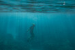 © Cavan Images - Male snorkeler swims to the surface of the ocean