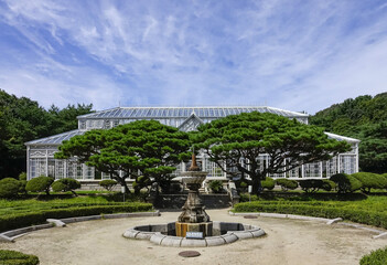 Wall Mural - Jongno-gu, Seoul, South Korea - September 2, 2022: Summer and front view of fountain on the yard against pine trees and Botanical garden at Changgyeonggung Palace
