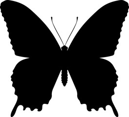 Butterfly silhouette clipart design illustration