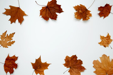 Wall Mural - Golden orange autumn leaves of maple tree on white background. Top view. Copy space