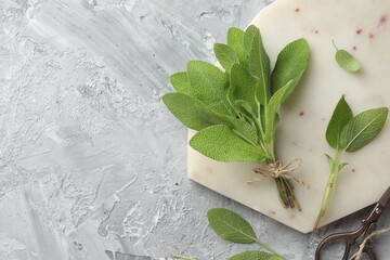 Wall Mural - Bunch of fresh sage leaves and scissors on gray textured table, flat lay. Space for text