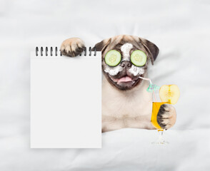 Fototapete - Funny Pug puppy with cream on his face and a pieces of cucumber on his eyes holds apple cocktail and relaxing on the bed at beauty salon and showing empty list. Top down view