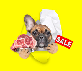 Wall Mural - French bulldog wearing chef's hat looking through the hole in yellow paper and shows signboard with labeled 