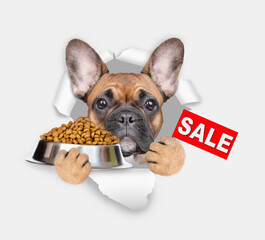 Wall Mural - Funny French bulldog puppy looking through the hole in white paper and holding bowl of dry pets food and shows signboard with labeled 