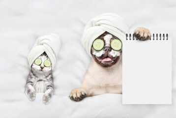 Canvas Print - Funny kitten and pug puppy with towel on their heads, with cream on their faces and with a pieces of cucumber on their eyes relaxing on the bed at spa salon. Top down view. Empty space for text