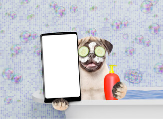 Wall Mural - Happy Pug puppy with cream on it face and with slices of cucumber in it eyes takes the bath and shows big smartphone with white blank screen in it paw. Empty space for text