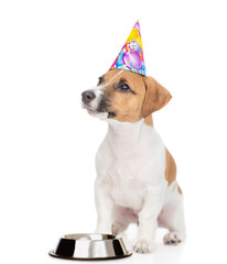 Canvas Print - Jack russell terrier puppy wearing party cap sits with empty bowl and looks away and up on empty space. isolated on white background