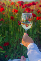 Wall Mural - Glass of wine in nature