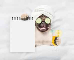 Fototapete - Funny Pug puppy with towel on it head,with cream on it face and a pieces of cucumber on it eyes holds orange cocktail and relaxing on the bed at beauty salon and showing empty list. Top down view
