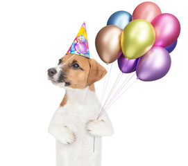 Poster - Happy jack russell terrier puppy wearing party cap holds balloons and looks away on empty space. isolated on white background