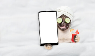 Fototapete - Happy Pug puppy with towel on it head and with a pieces of cucumber on it eyes relaxing on the bed at home and showing big smartphone with white screen in it paw. Top down view. Empty space for text