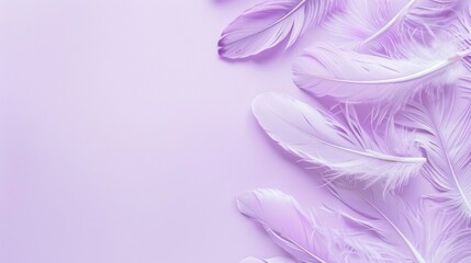 Poster - pastel purple background with feathers