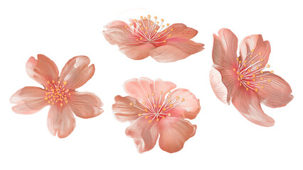 Sticker - Japanese Sakura flowers png sticker, transparent background