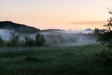 Power line poles among the fog in the misty woods of Northern Norway