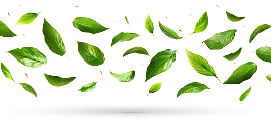 Wall Mural - Flying Green Leaves Isolated on White Background, Floating Leaf Imagery, High-Resolution Nature Elements, Dynamic Leaf Motion, Fresh and Vibrant Greenery, Clean and Simple Design