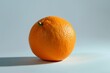 © Jennie Pavl - A vibrant orange fruit isolated with a shadow effect to create depth and dimension.