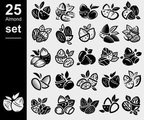 Wall Mural - Almond set. Collection icon almond. Vector