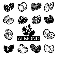 Wall Mural - Almond set. Collection icon almond. Vector