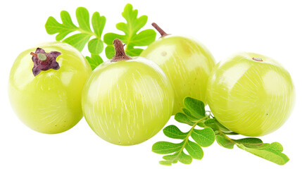Fototapete - amla groups isolate on transparent background