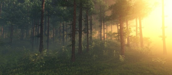 Wall Mural - Forest in the morning in a fog in the sun, trees in a haze of light, glowing fog among the trees, 3D rendering