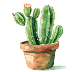 Wall Mural - Watercolor green cactus plants, brown pots with flower illustration on transparent background background