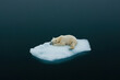 © wasan - A serene polar bear resting on a drifting iceberg in a calm, icy ocean, showcasing the beauty and fragility of Arctic wildlife.