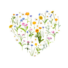 Wall Mural - Heart made of meadow flowers on white gradient background