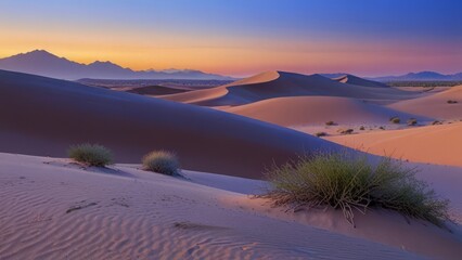 Sunset over the sand dunes in the desert background