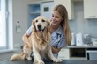 © Igor - a beautiful female vet nurse doctor examining a cute happy golden retriever dog making medical tests