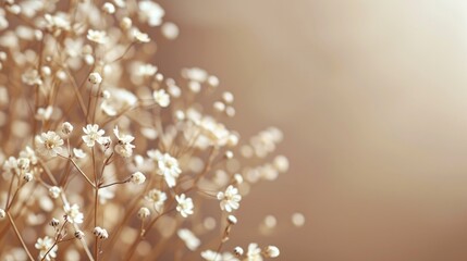 Wall Mural - Small white flowers as a decoration element in a home with a brown background blurred focus with space for text