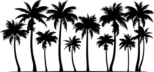 A row of palm trees are depicted in black and white. The trees are tall and slender, with their trunks reaching up towards the sky. Concept of tropical paradise, with the palm trees providing a lush