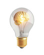 © ItziesDesign - Creative concept of innovation with a light bulb and brain, symbolizing smart ideas and financial growth.