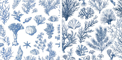 Seaweed seamless pattern, marine plants, corals, underwater sea life, nautical japanese, chinese sketch texture. Illustration laminaria botanical seamless nautical pattern.