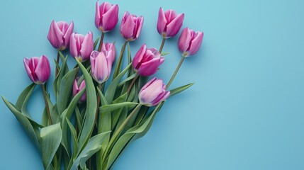 Wall Mural - close up top view of violet tulips bouquet on blue backdrop