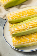 Canvas Print - Multi Colored Sweet Corn on the Cob