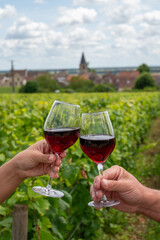 Poster - Drinking of red pinot noir wine on grand cru vineyards with cross and stone walls in Cote de nuits, making of famous red and white Burgundy wine in Burgundy region, Vosne-Romanee village