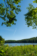 Sticker - beautiful lace scenery in finland. green trees and blue skies.