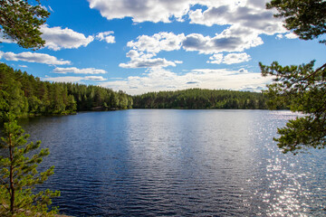 Wall Mural - beautiful lace scenery in finland. green trees and blue skies.