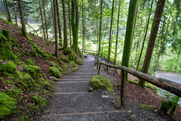 Wall Mural - Trail to Giessbach Falls waterfall at the Lake Brienz, Switzerland