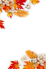 Wall Mural - autumnal maple leaves, golden yellow leaves palm tree, cotton flowers, gift box on white background 