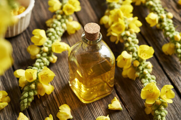 Wall Mural - A bottle of herbal tincture with fresh mullein or Verbascum flowers