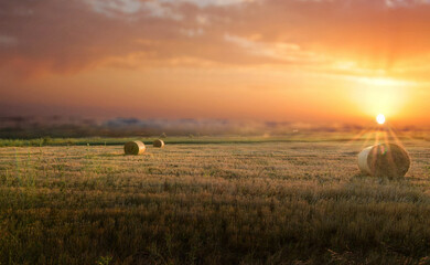 Canvas Print - sunset over the field